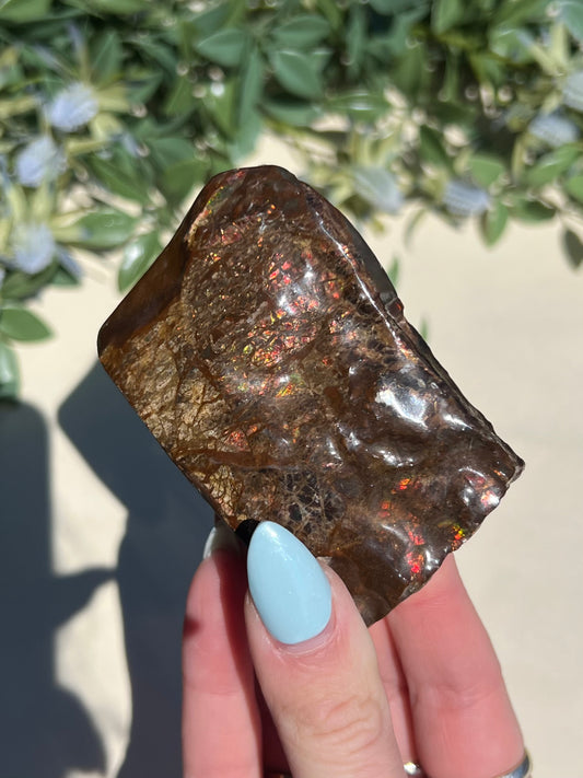 Ammolite (45AE)