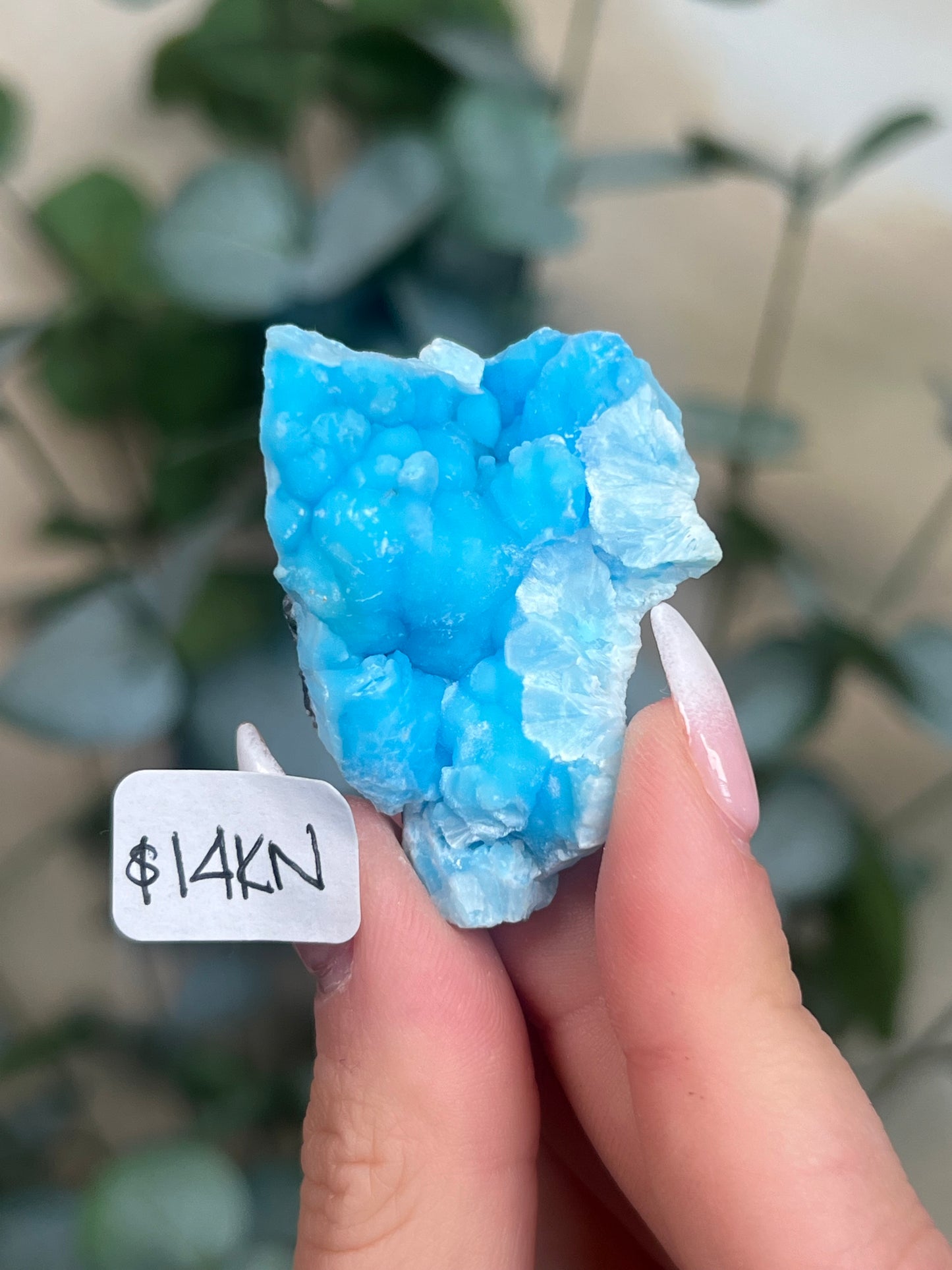 Blue Aragonite (12-16, 7 options)