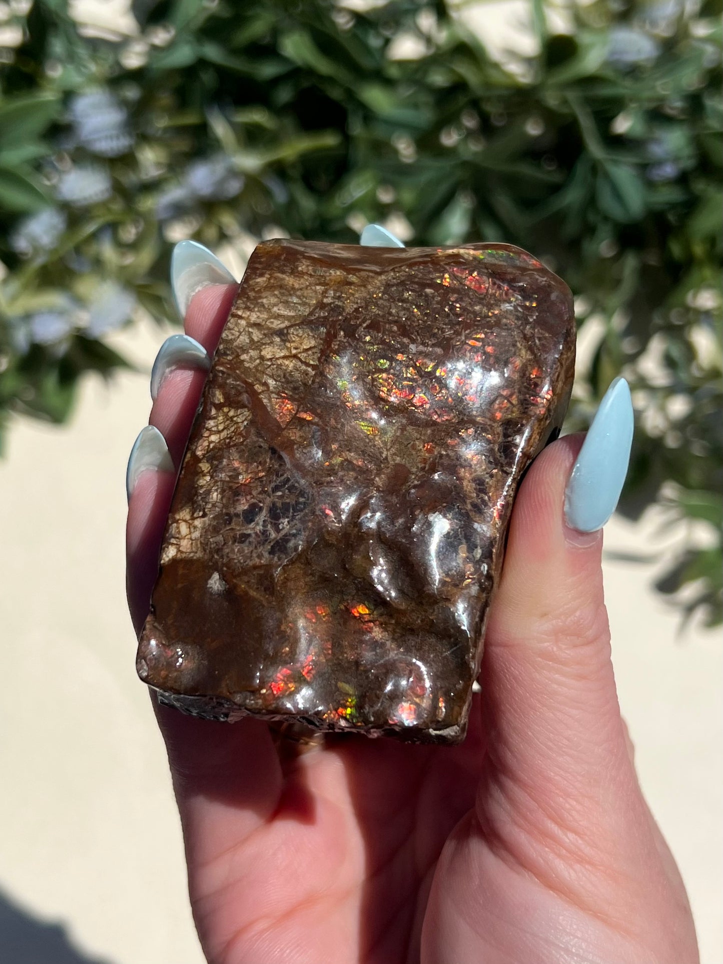 Ammolite (45AE)