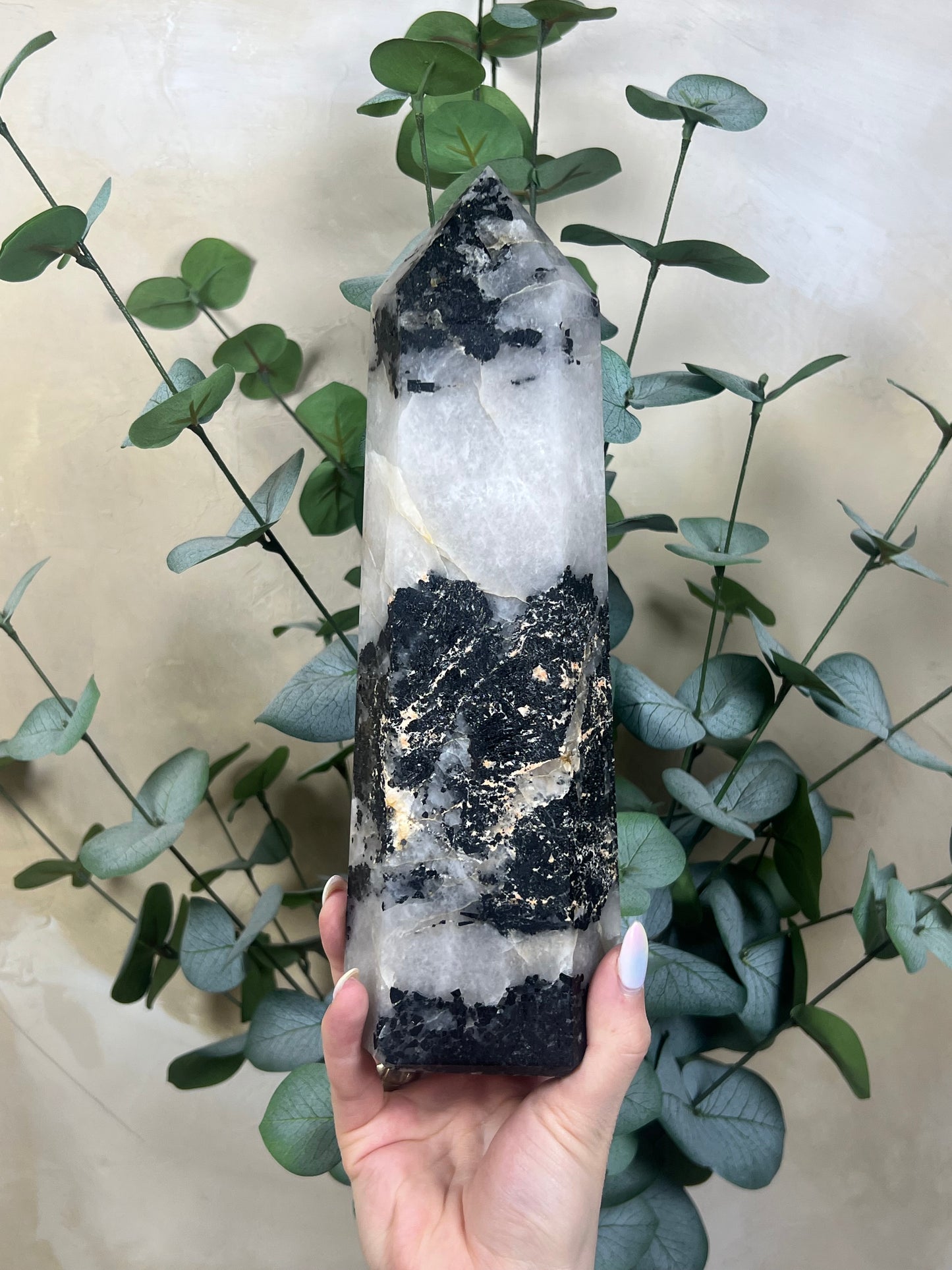 Tourmaline in Quartz Tower (224AA)