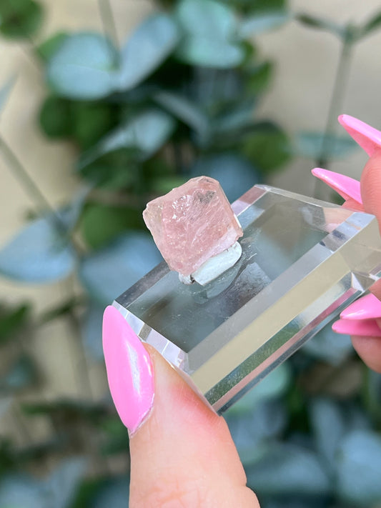 Pink Apatite (19AK)