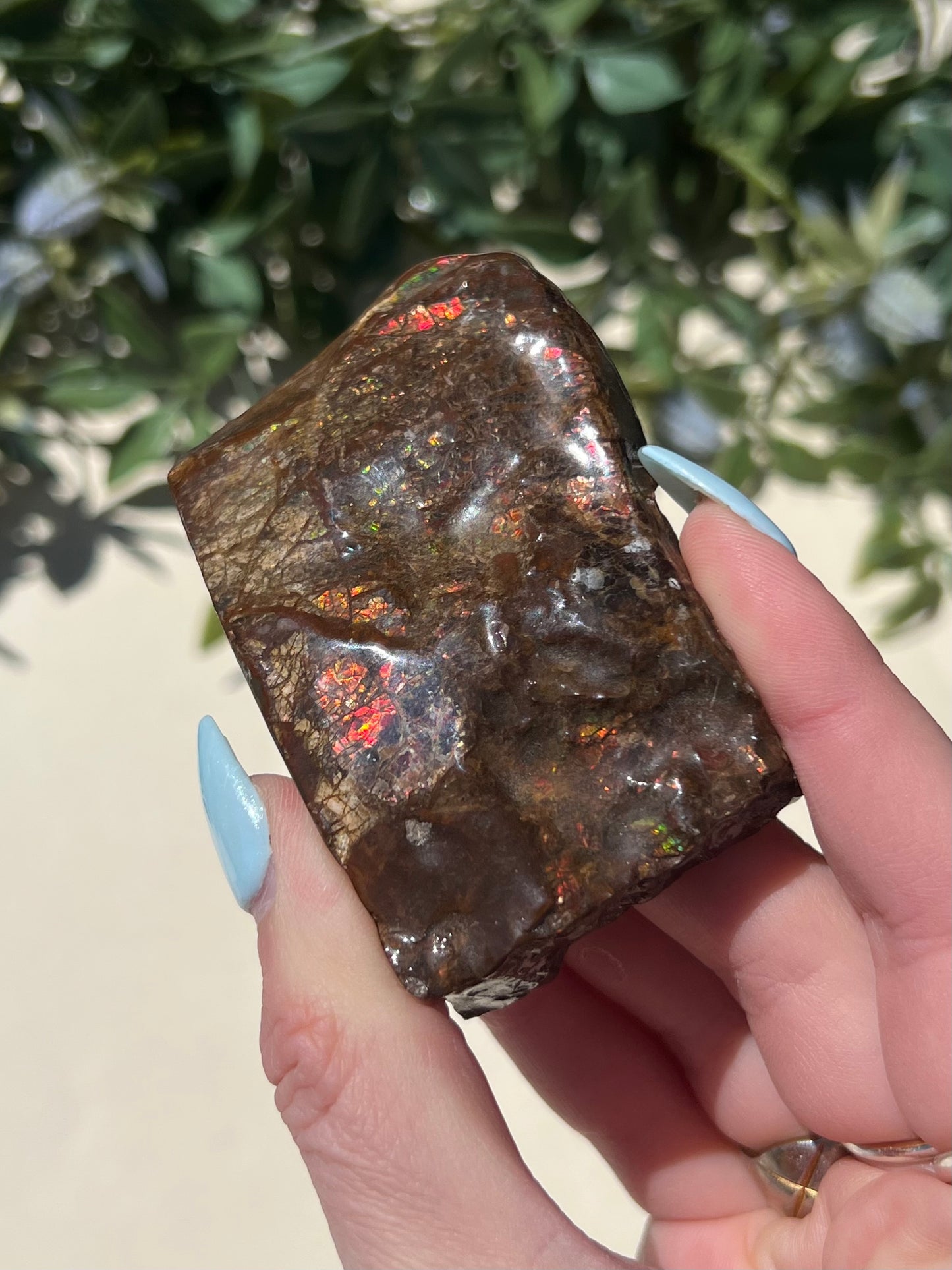 Ammolite (45AE)