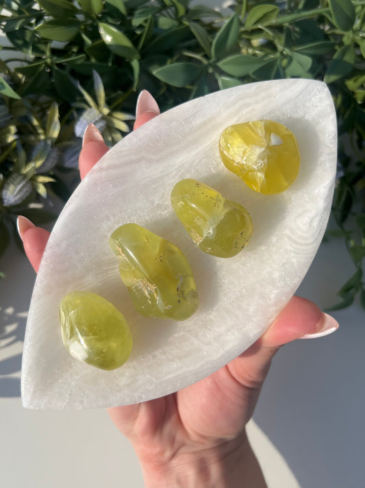 Australian Prehnite Polished (32-34, 4 options)