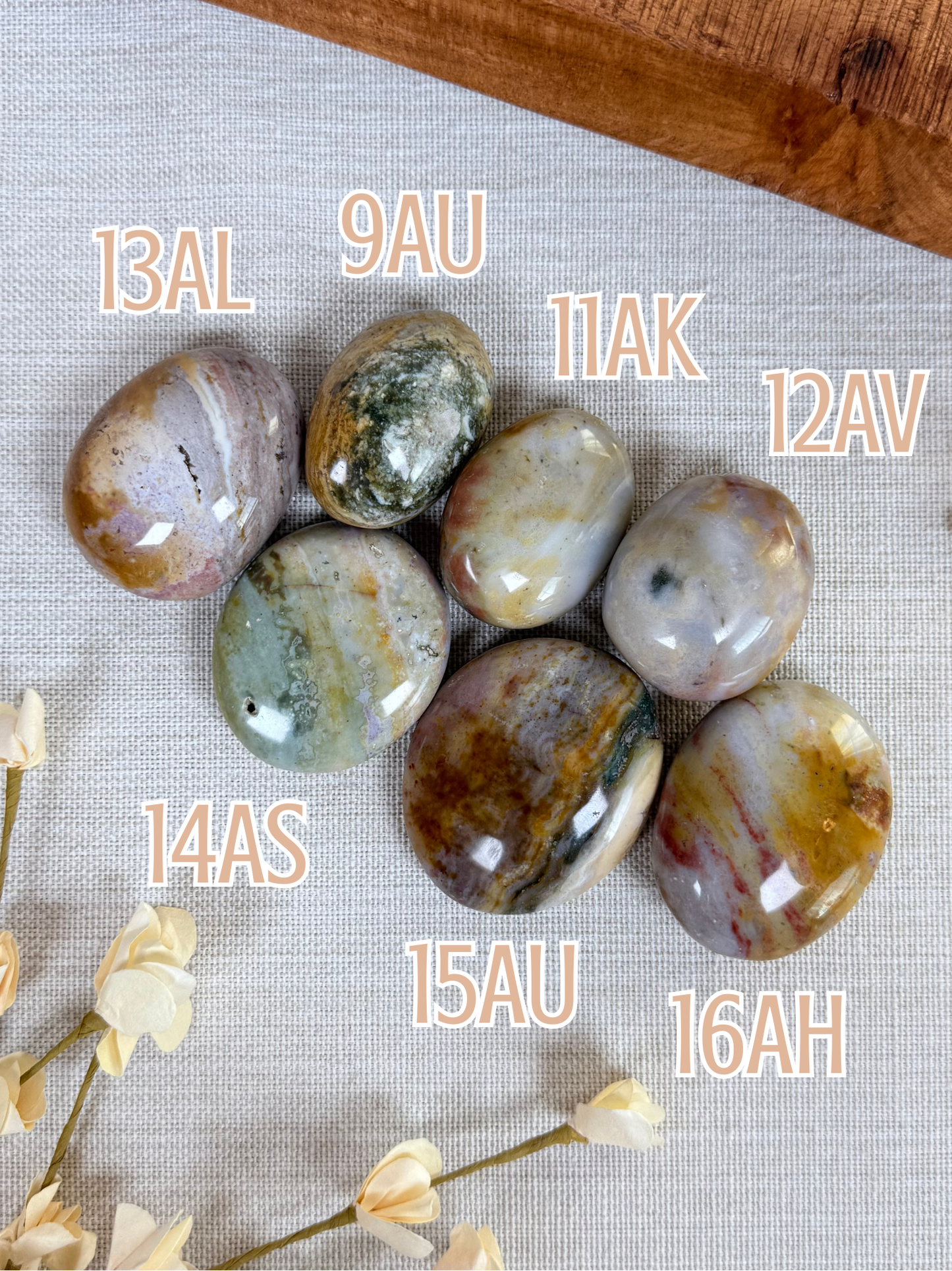 Sea Jasper Palms (9AU-16AH)