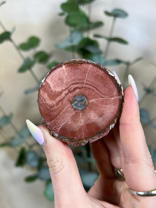 Argentinian Orbicular Jasper (59AA)