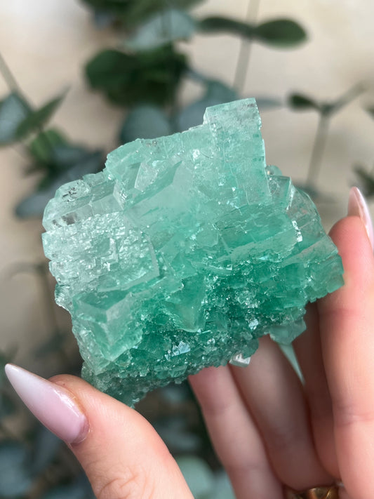 Green Halite with Display Stand (153KA)