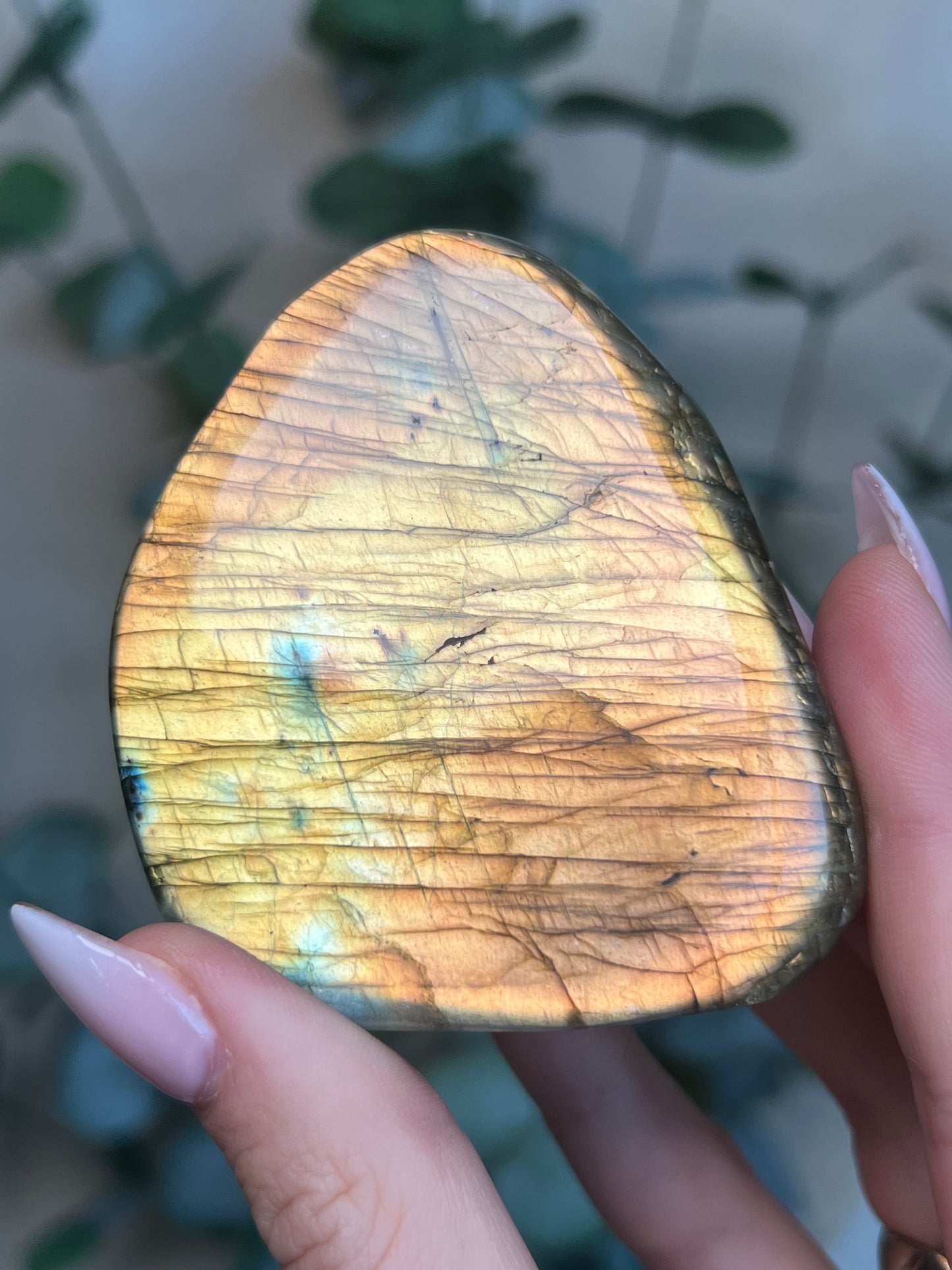 Labradorite Freeform HQ (38KY*)