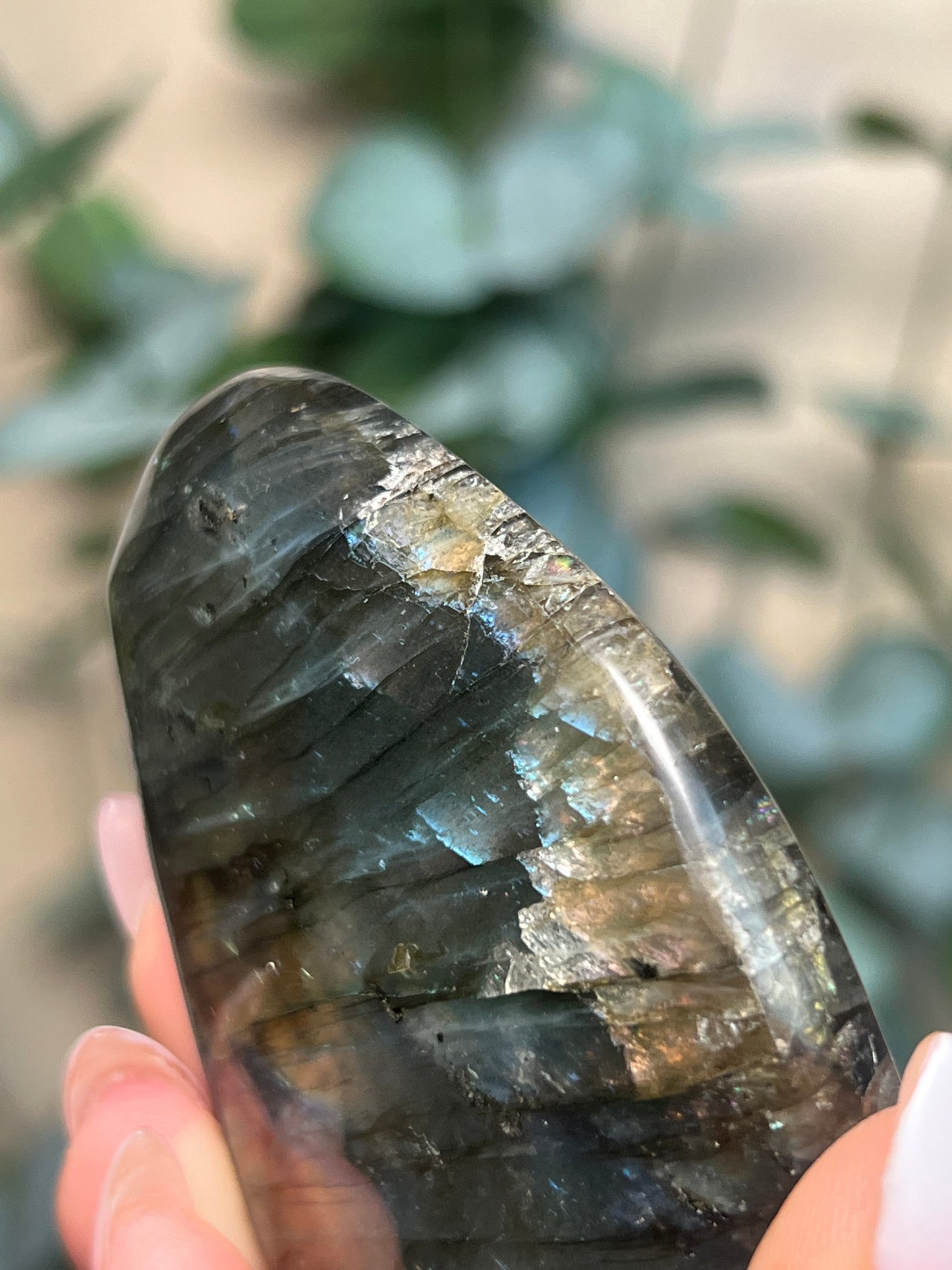 Labradorite Freeform HQ (38KY*)