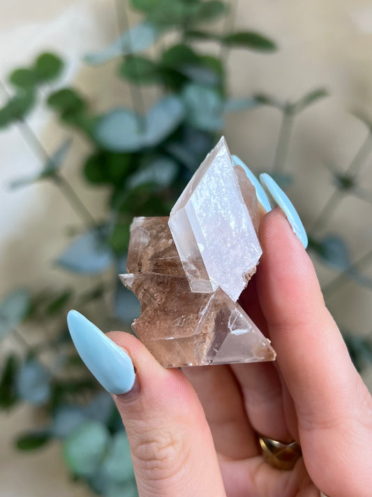 Durango Selenite (92EC)