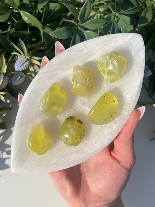 Australian Prehnite Polished (16-24, 6 options)