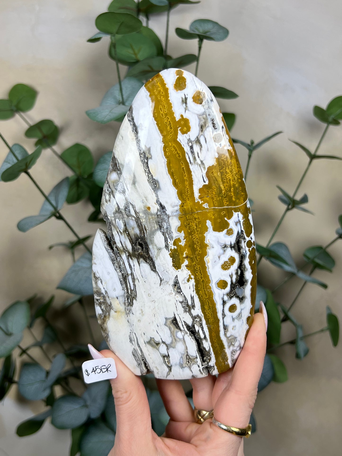 Sea Jasper Freeforms (43ET, 45ER)