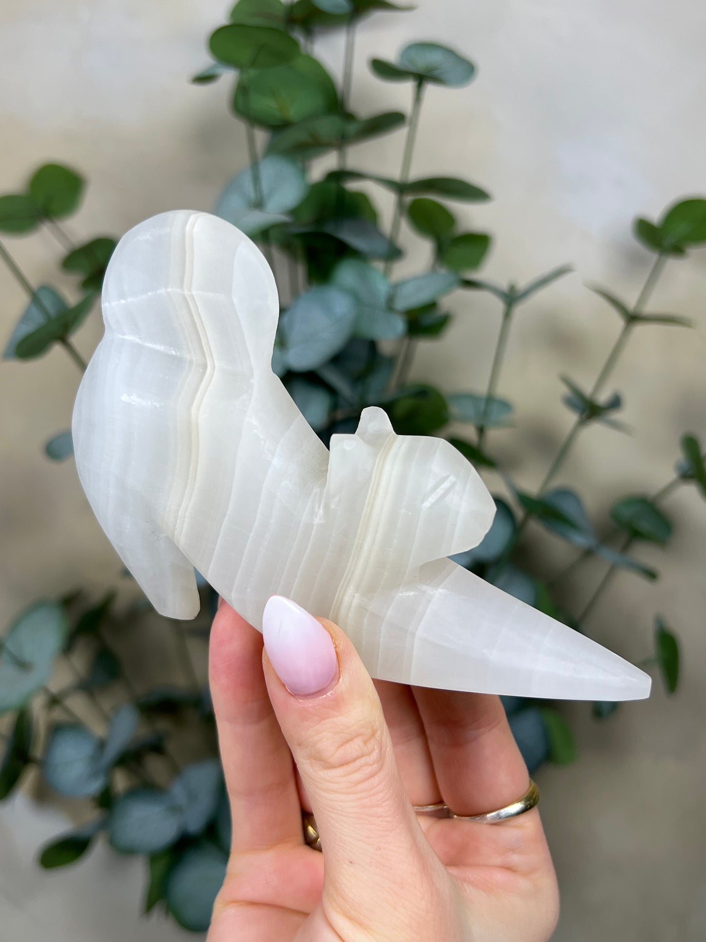 Calcite Stretching Cat (23GC)