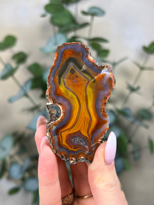 Condor Agate (171EA)