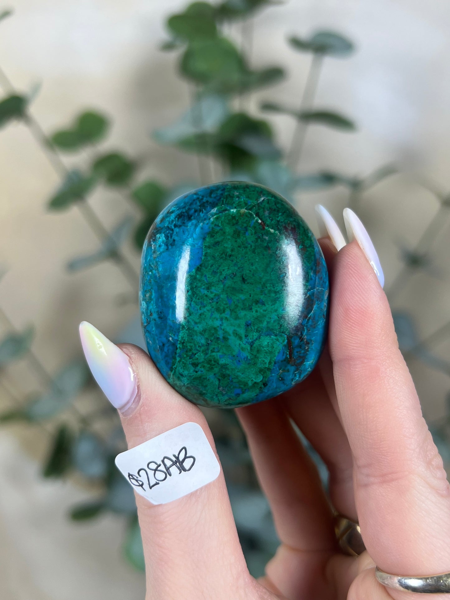 Malachite Chrysocolla Freeforms (18AD-37AA)
