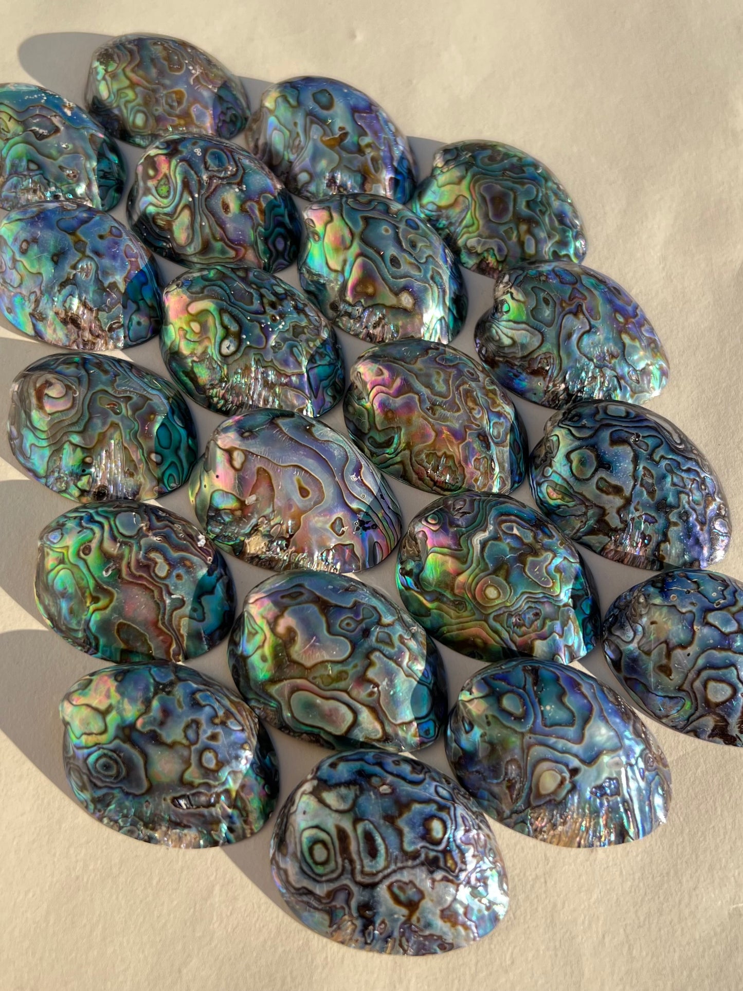 Abalone Shells