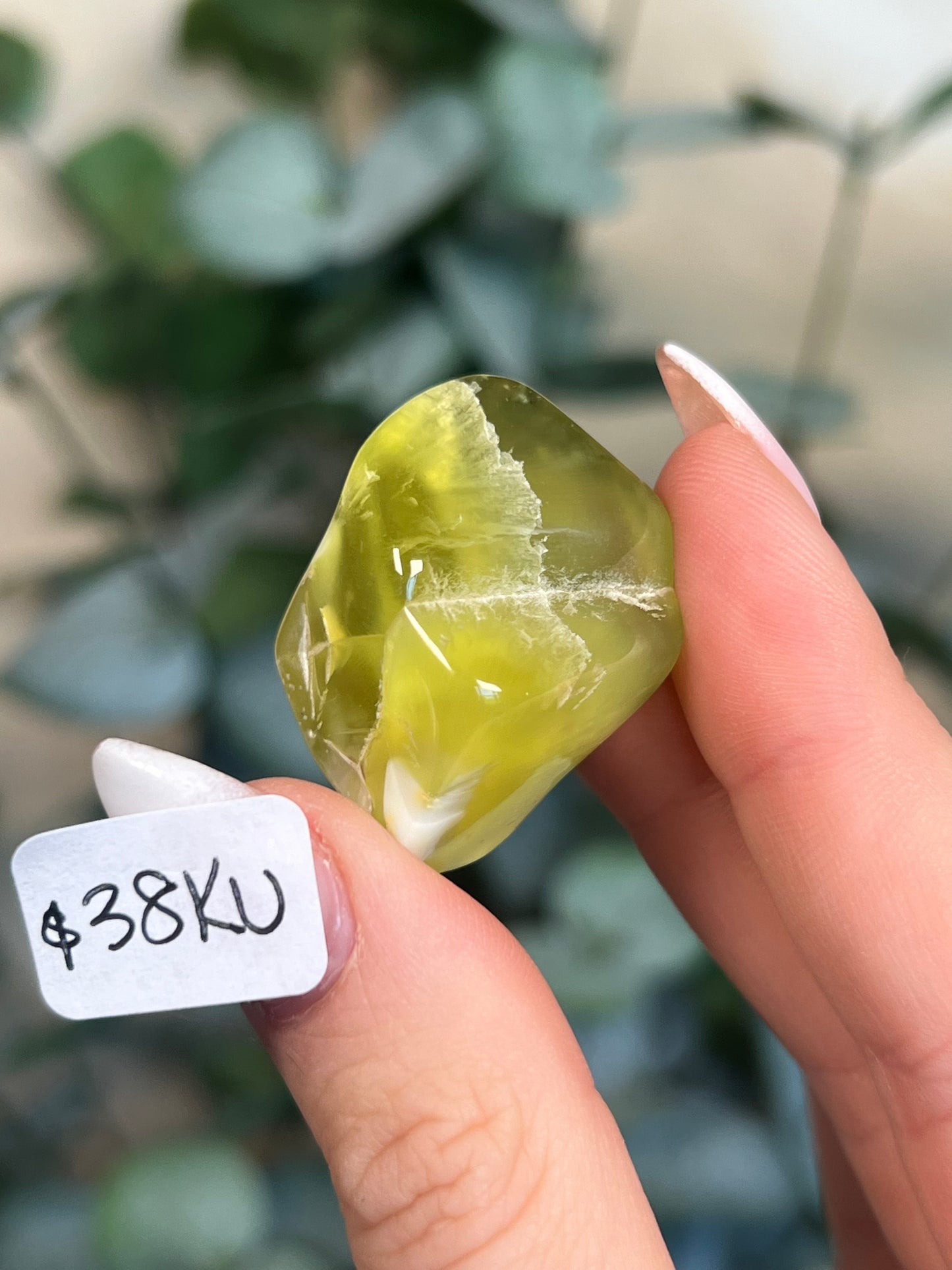 Australian Prehnite Polished (35-39, 5 options)