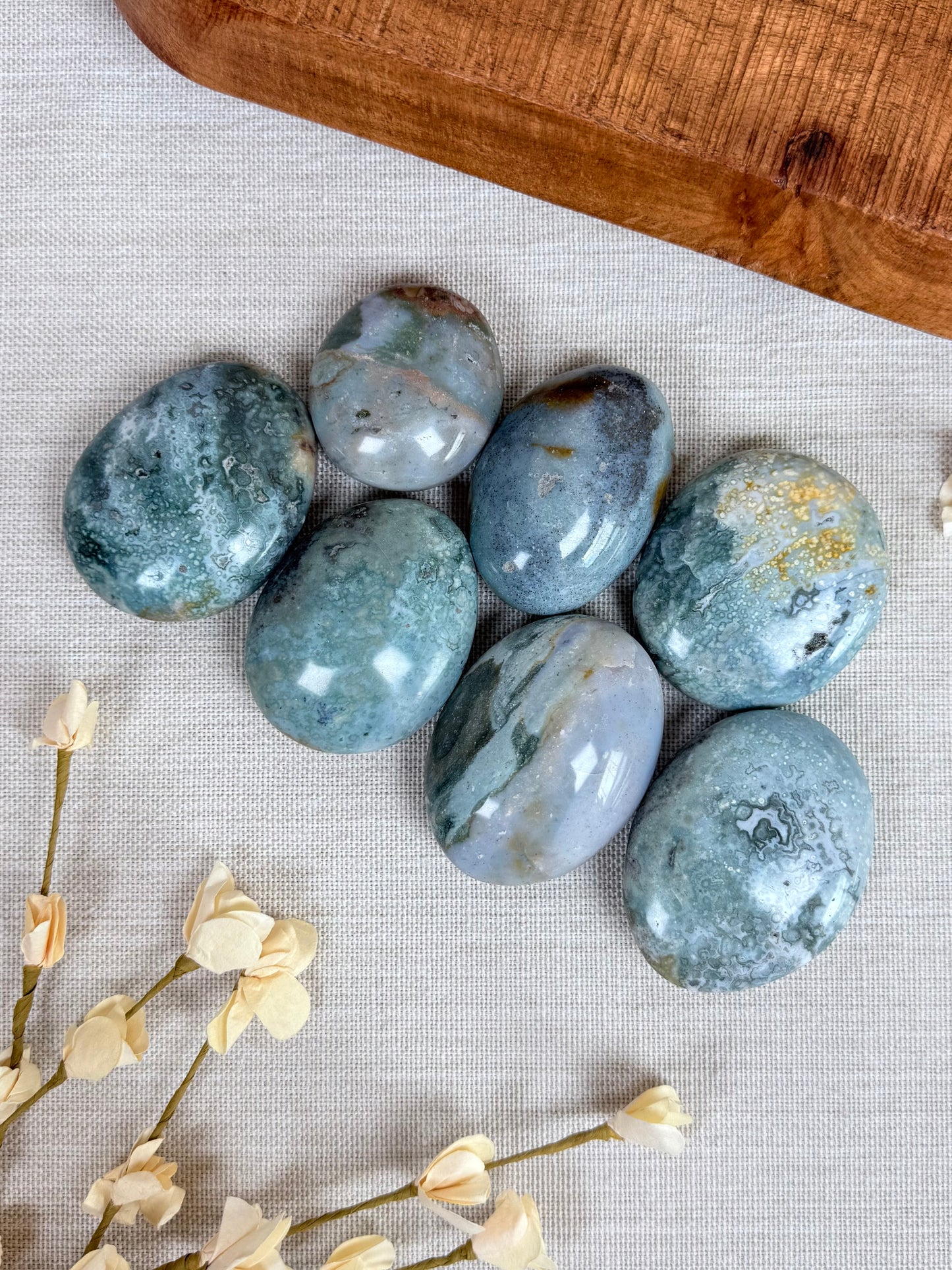 Sea Jasper Palms (8AN-16AE)