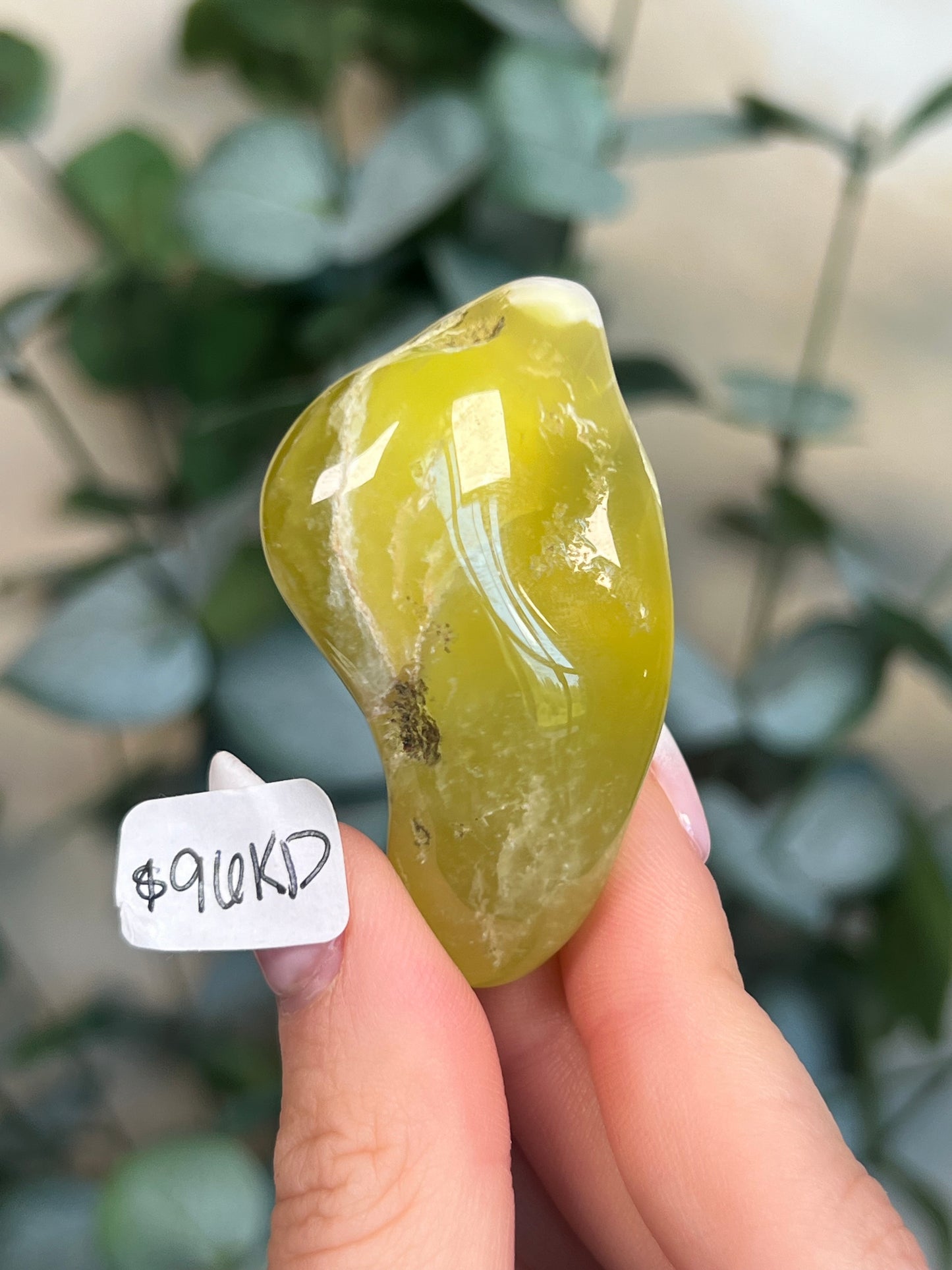 Australian Prehnite Polished (96KD, 195KA)