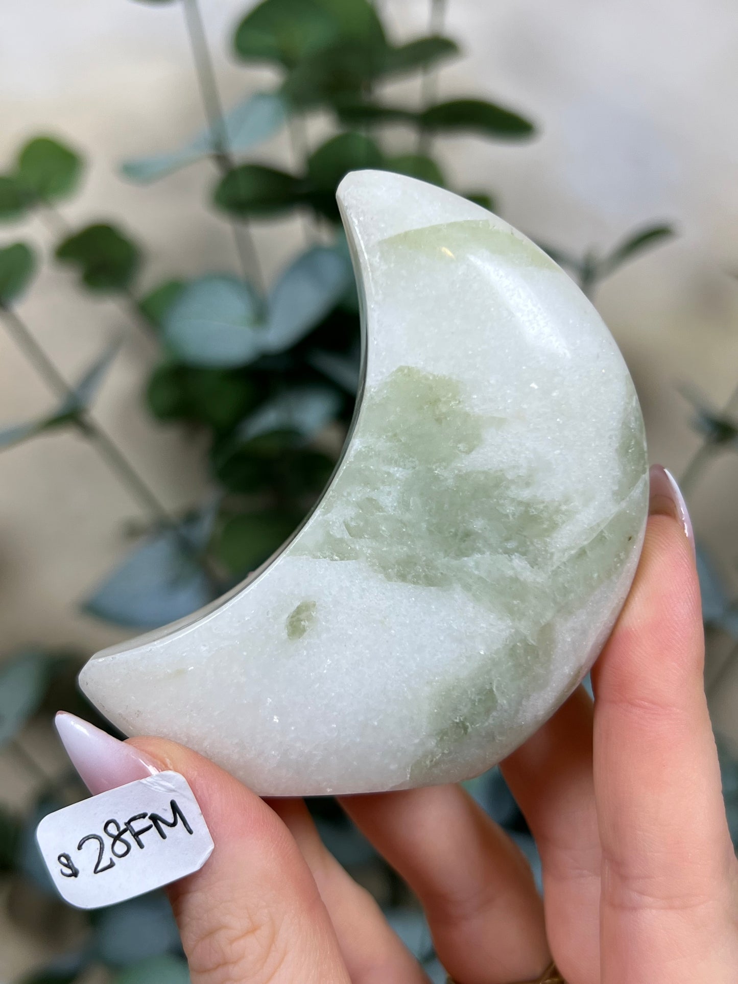 Green Kyanite in Quartz Standing Moons (28FL, 28FM)