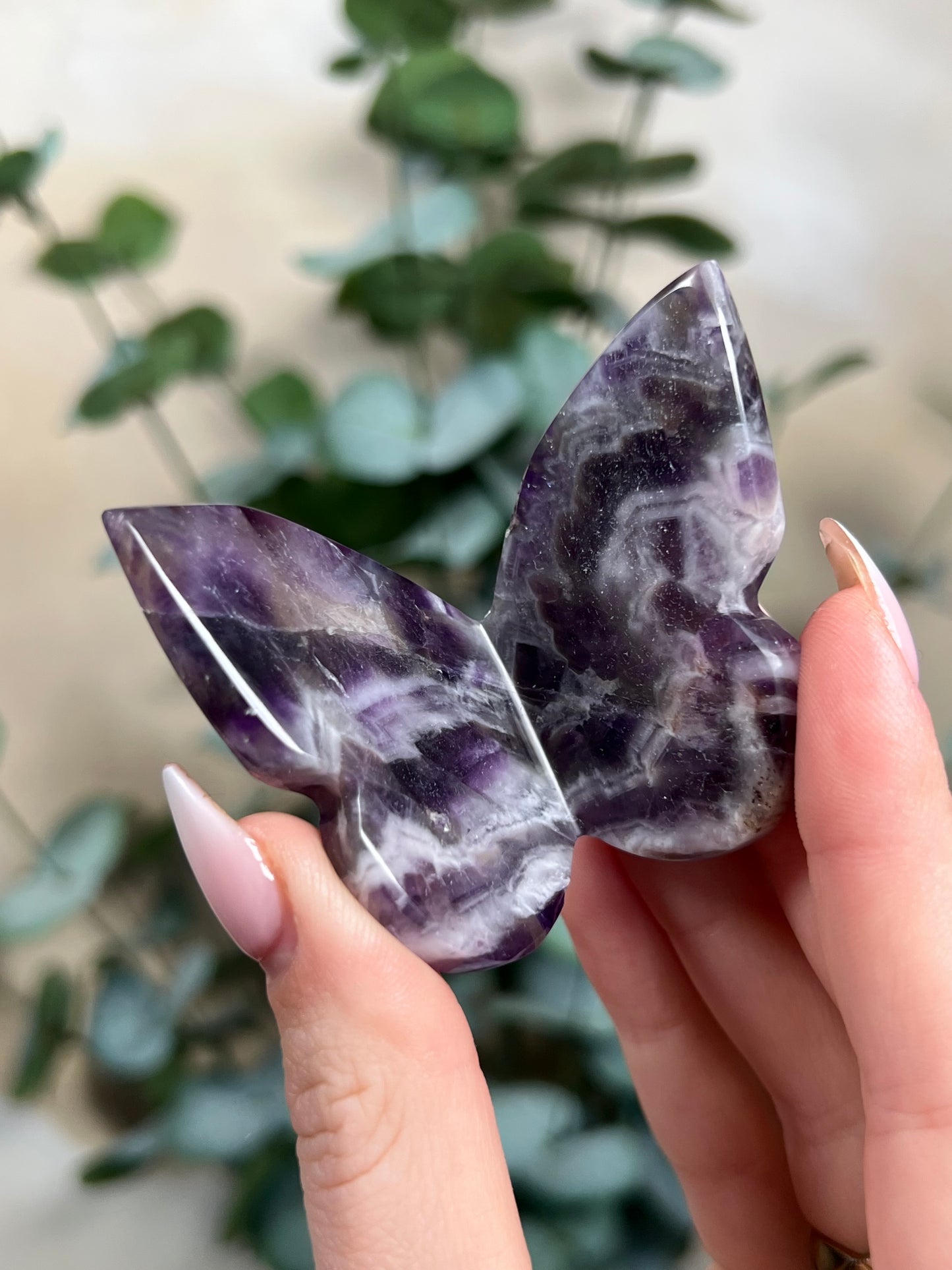 Amethyst Butterflies