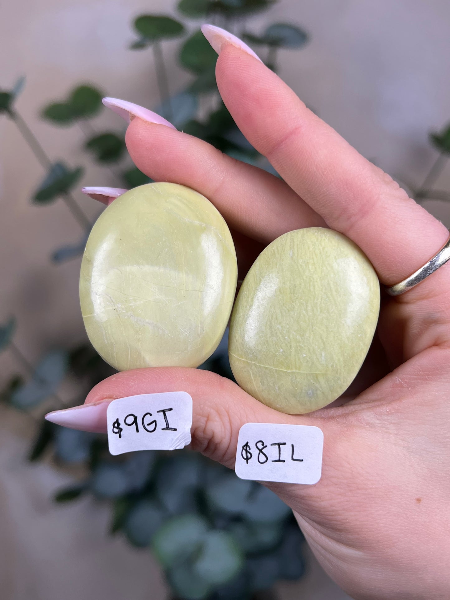 Serpentine Palms, India (8 options)