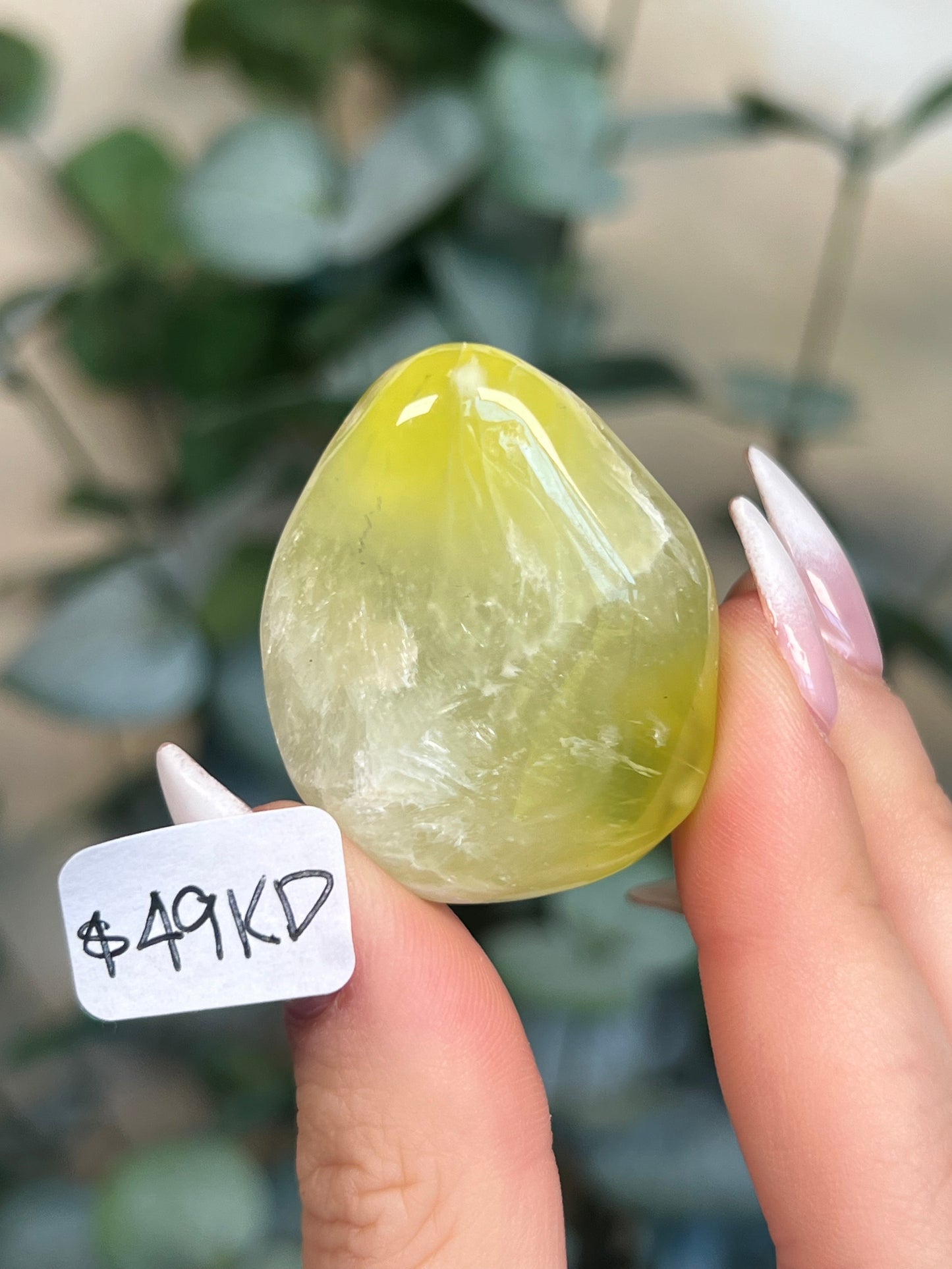 Australian Prehnite Polished (47-50, 4 options)