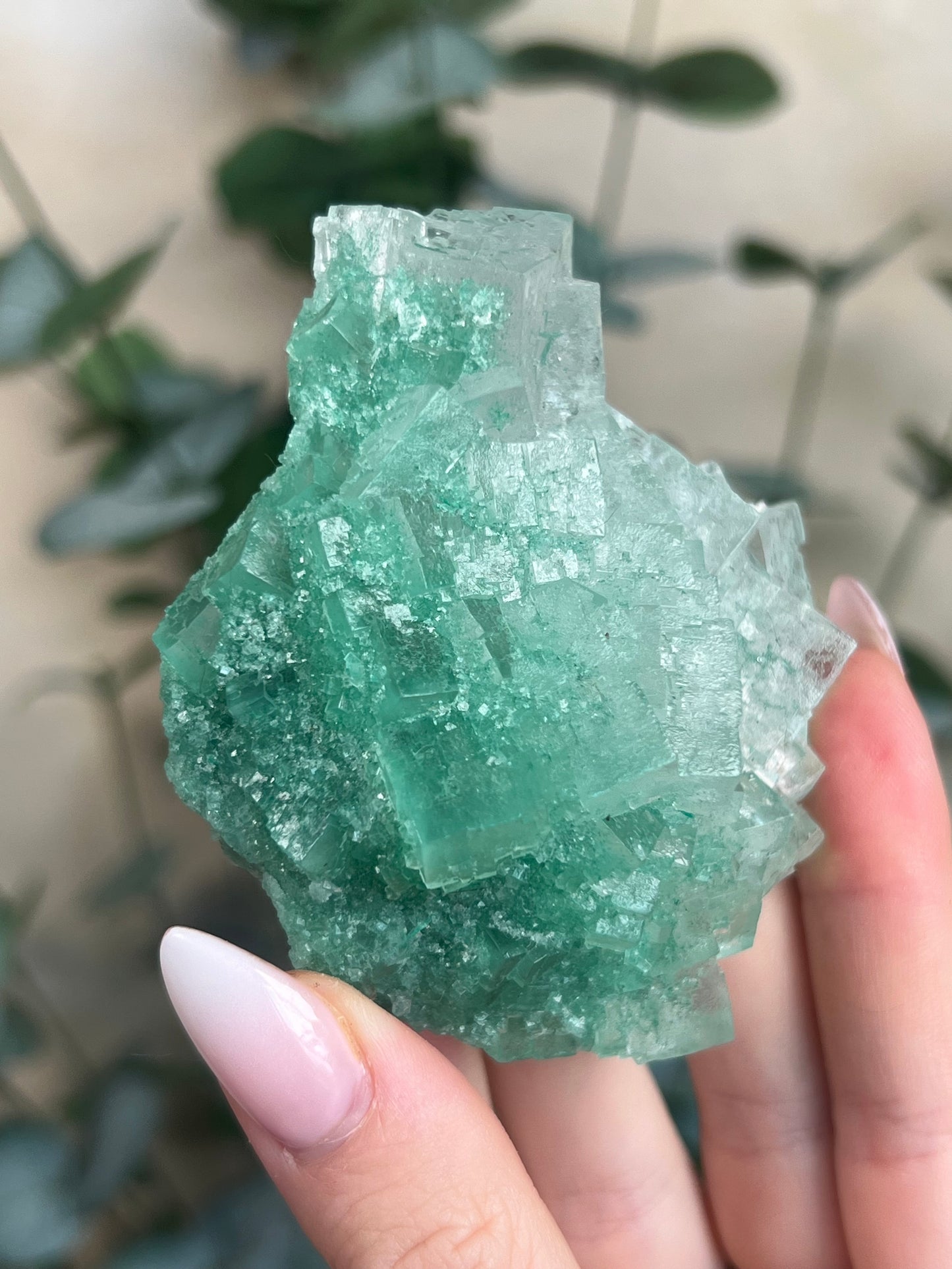 Green Halite with Display Stand (137KB)