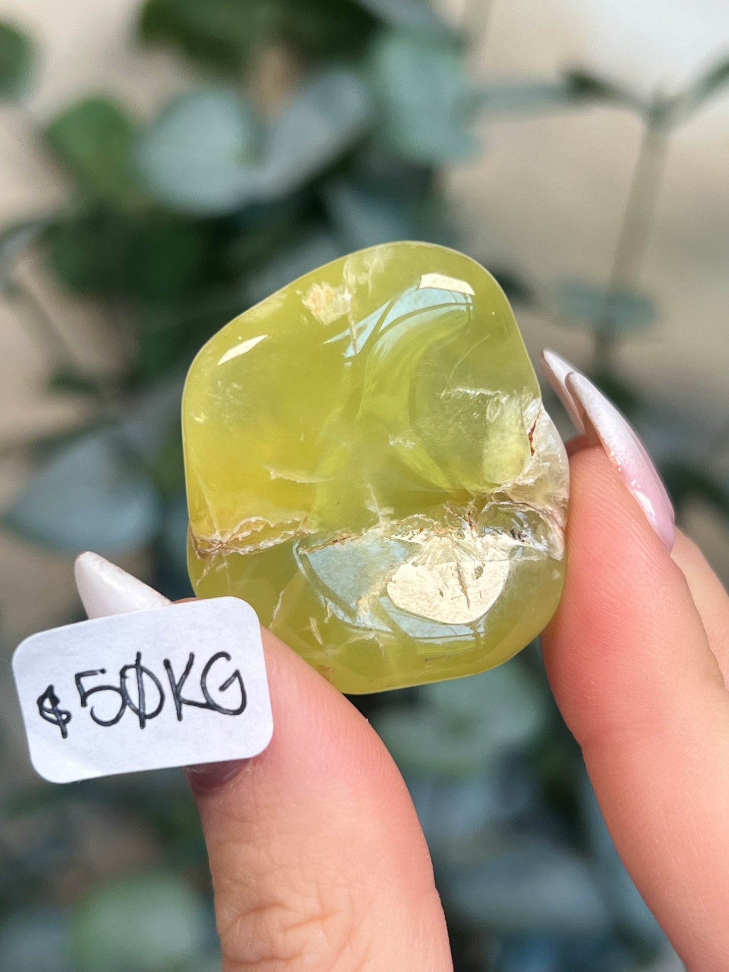 Australian Prehnite Polished (47-50, 4 options)