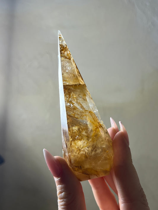 Golden Healer Point (34FN)