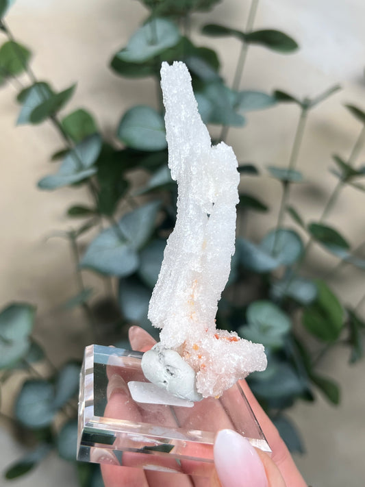 Horn Selenite (32EH)
