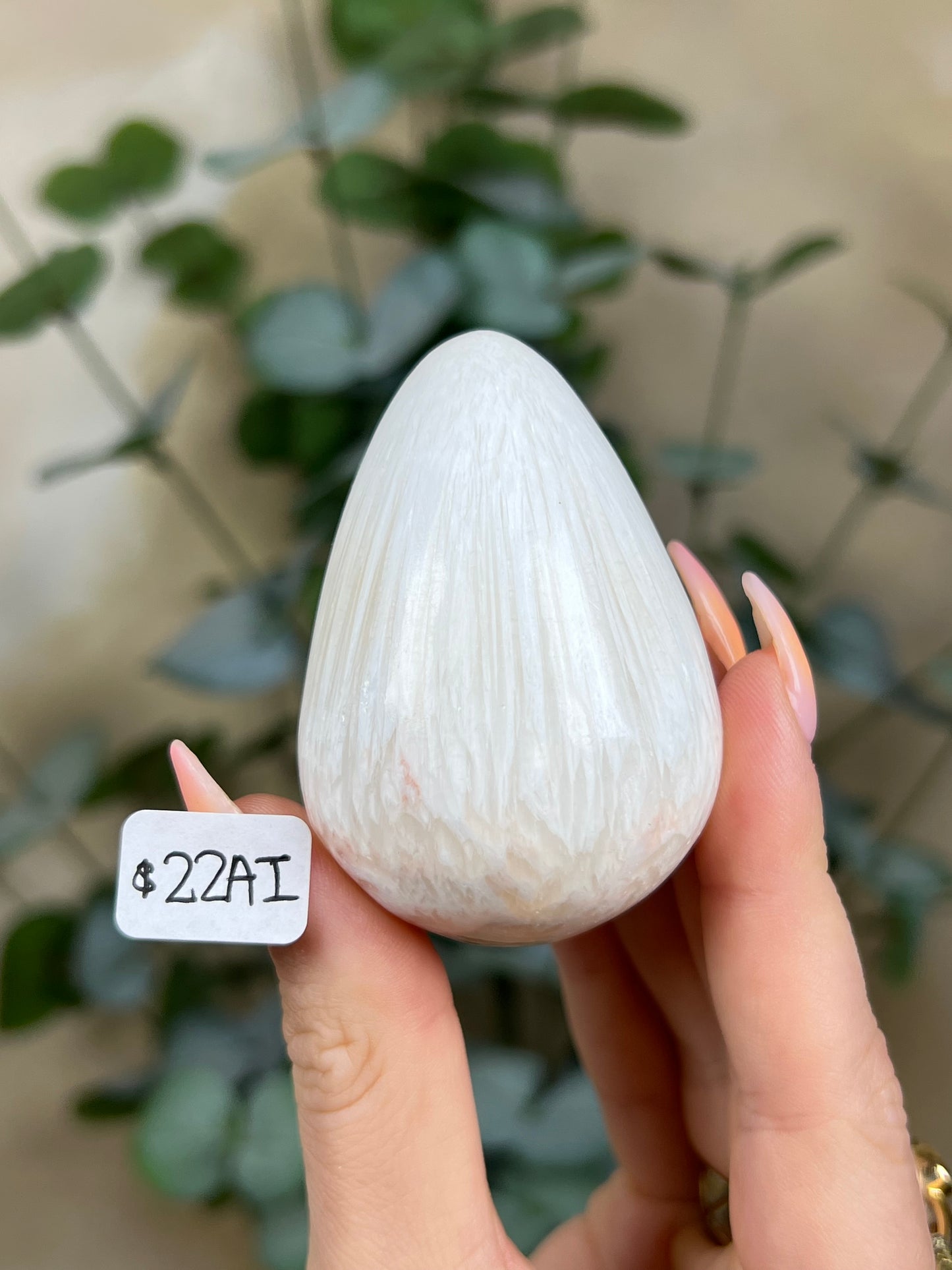 Scolecite Eggs (9AZ, 22AI)
