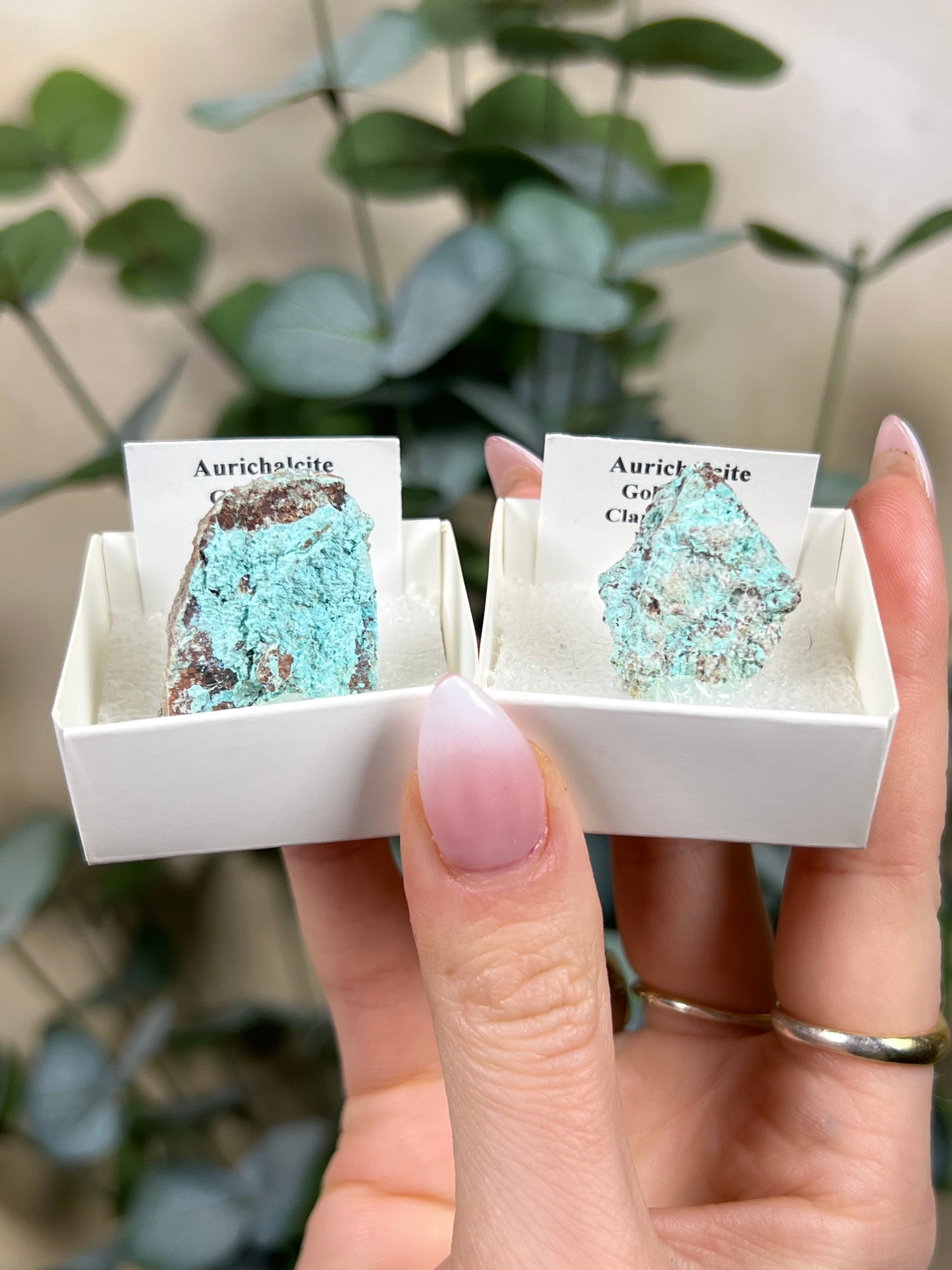 Aurichalcite Specimen - Nevada