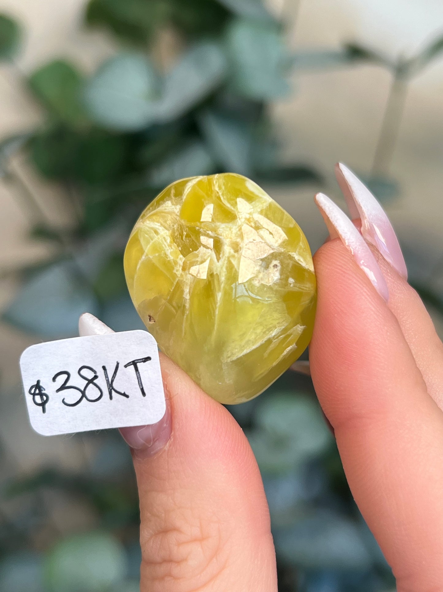 Australian Prehnite Polished (35-39, 5 options)