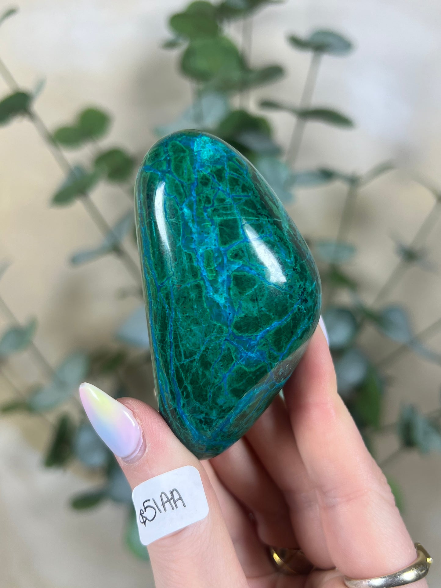 Malachite Chrysocolla Freeforms (37AB-61AA)