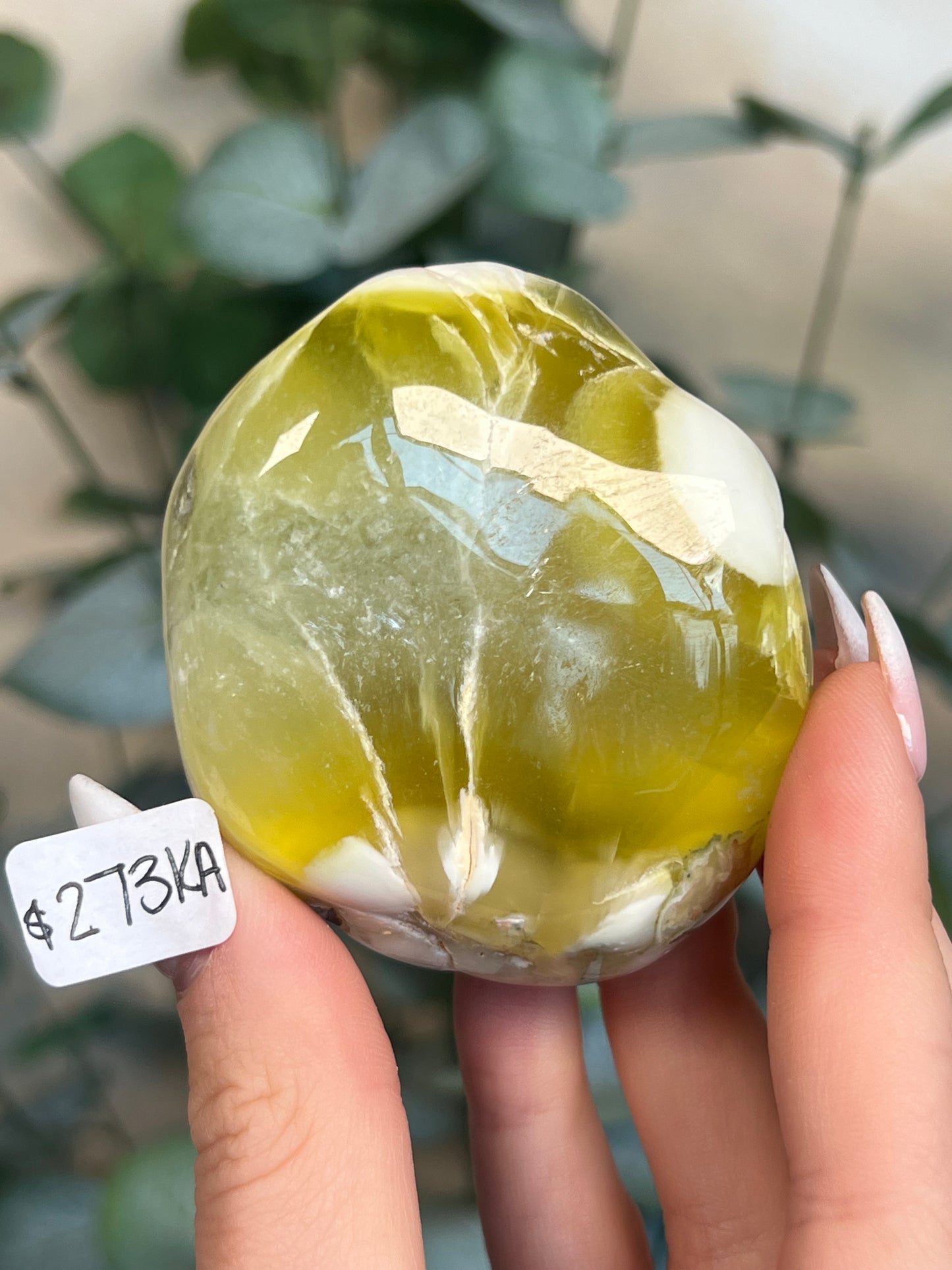 Australian Prehnite Polished (273KA)