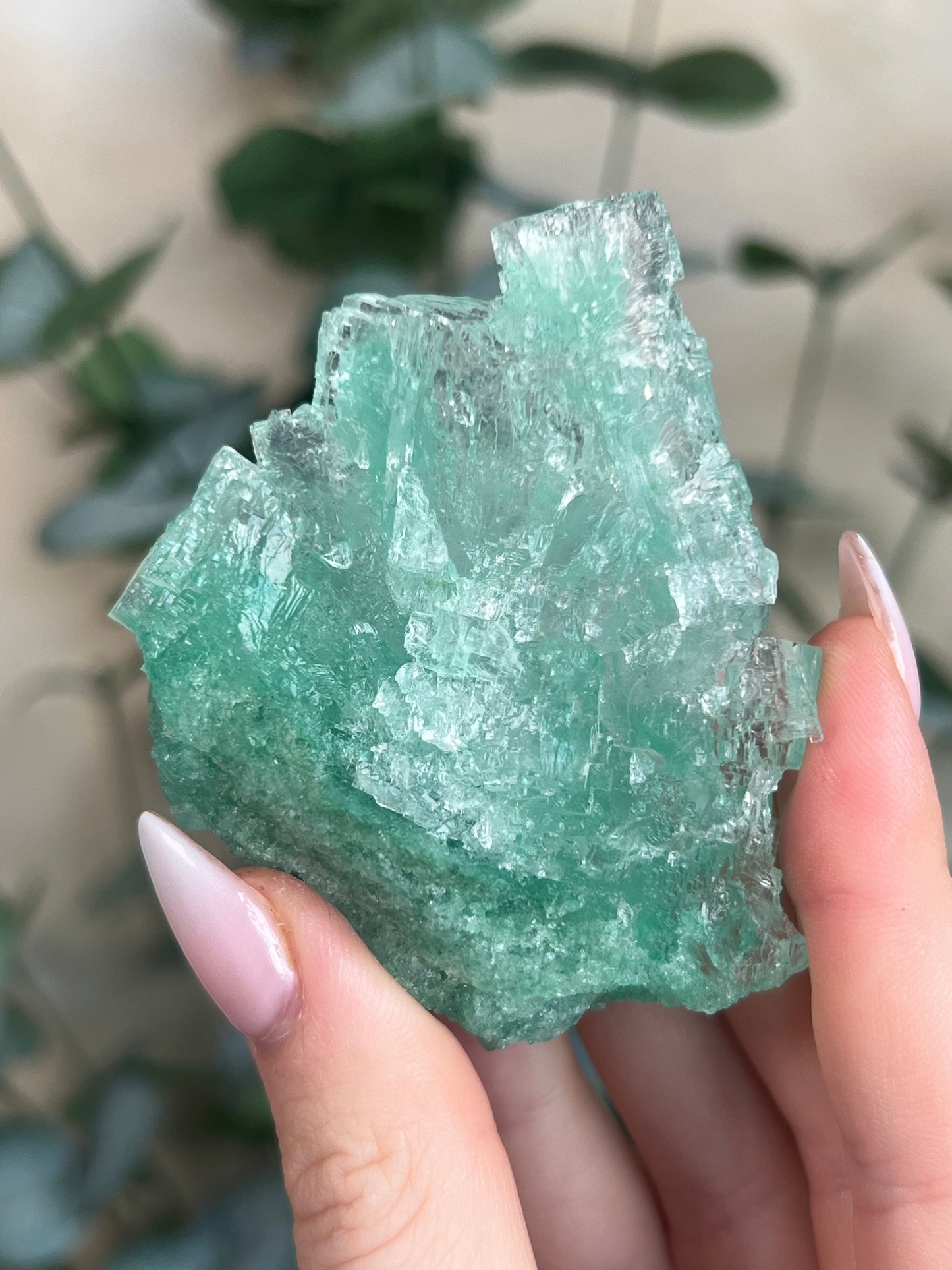 Green Halite with Display Stand (131KA)