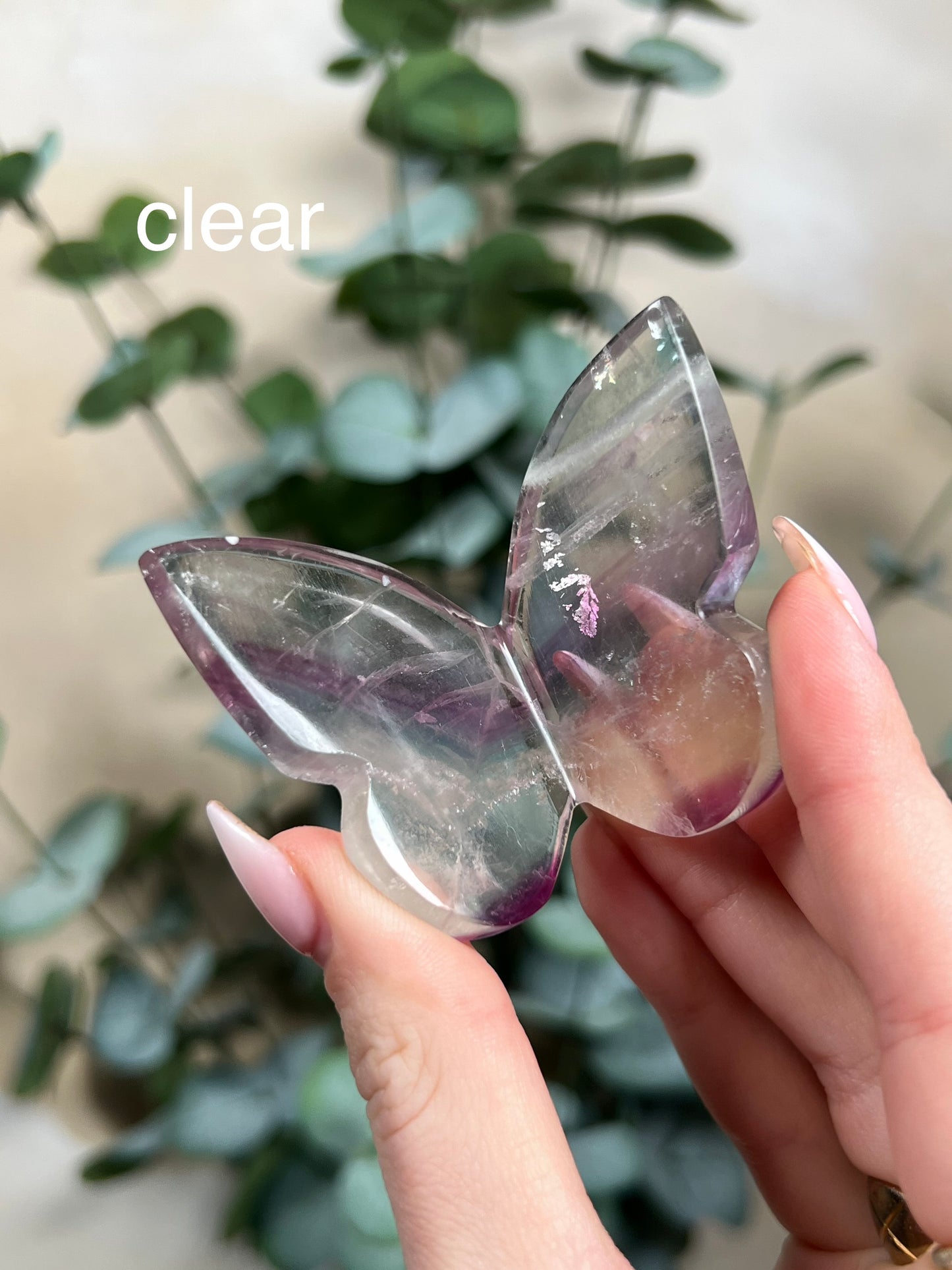 Fluorite Butterflies