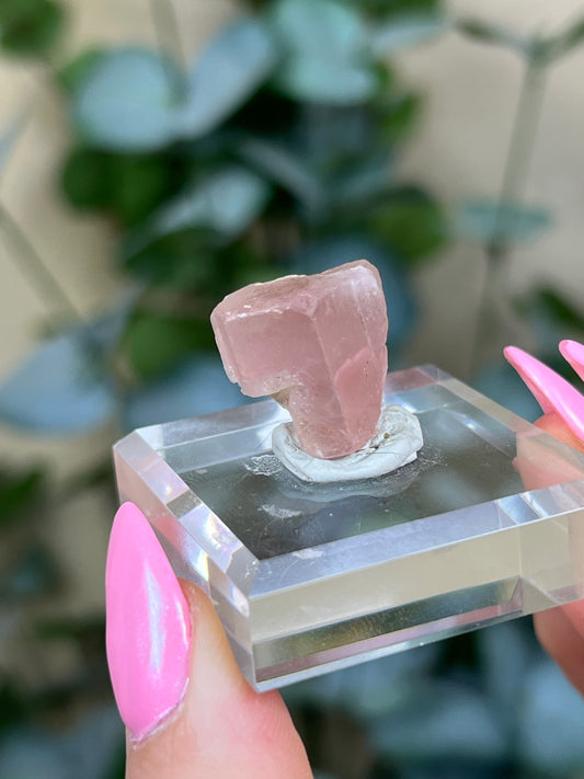 Pink Apatite (26AJ)