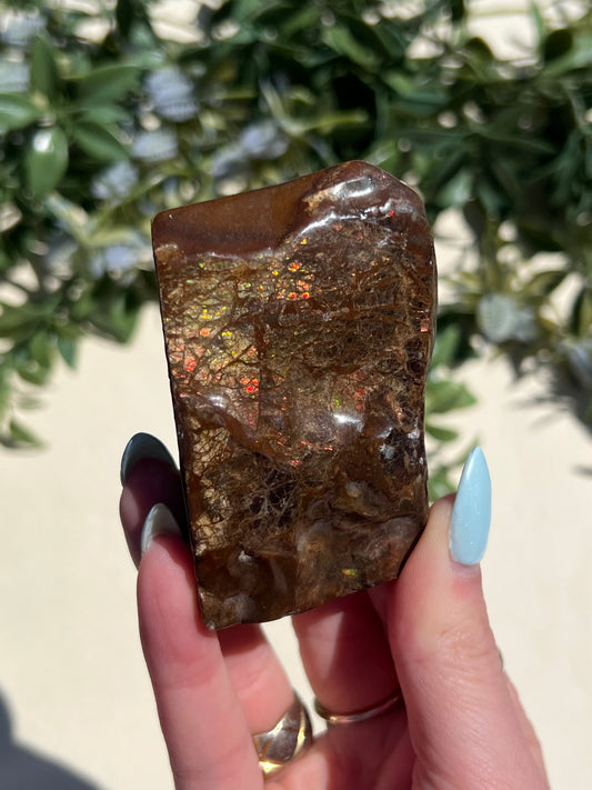 Ammolite (45AE)