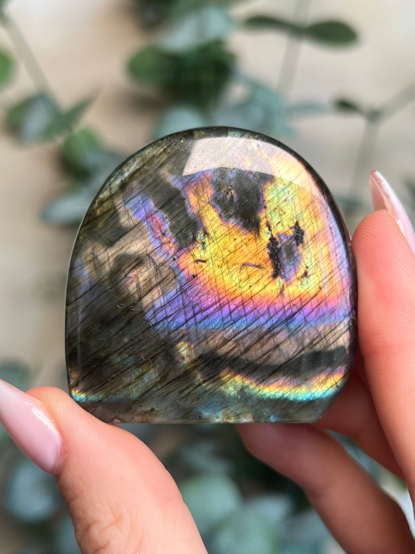 Labradorite Freeform HQ (38LD)