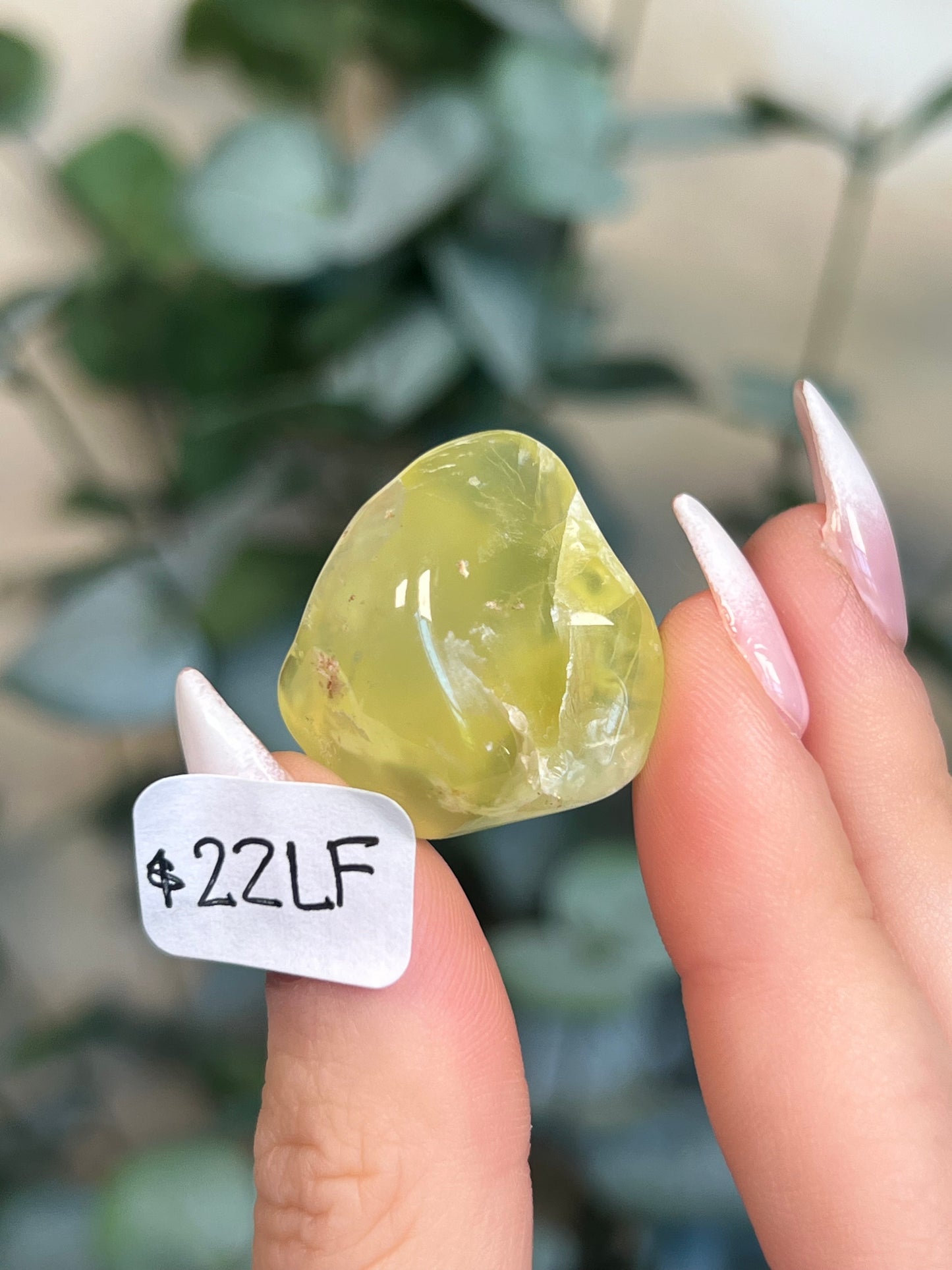 Australian Prehnite Polished (16-24, 6 options)