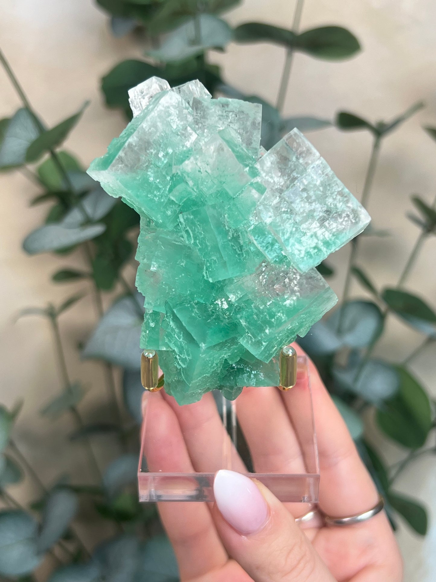 Green Halite with Display Stand (364KA)