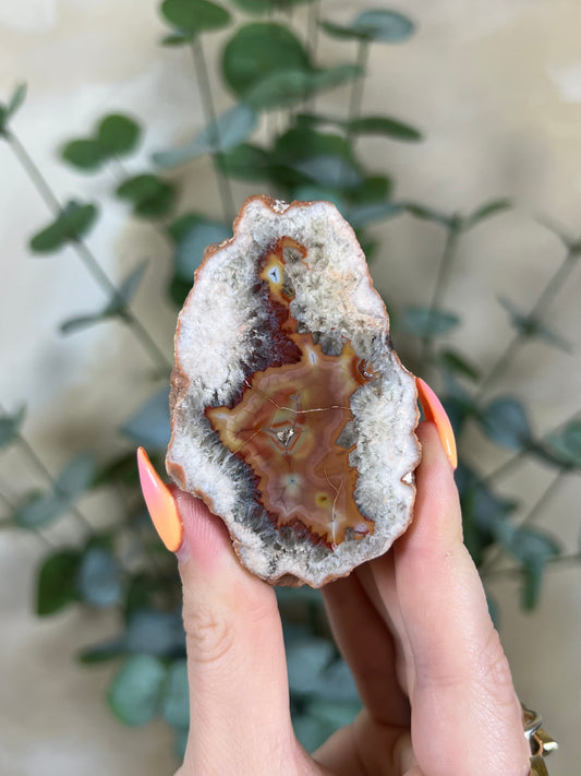 Puma Agate (62AG)