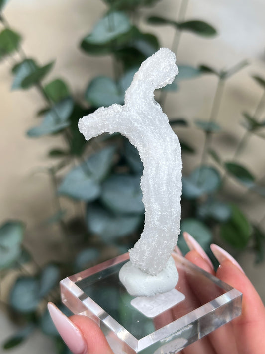 Horn Selenite (42EC)
