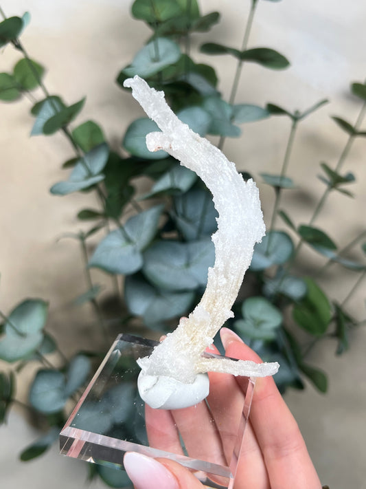 Horn Selenite (52EA)