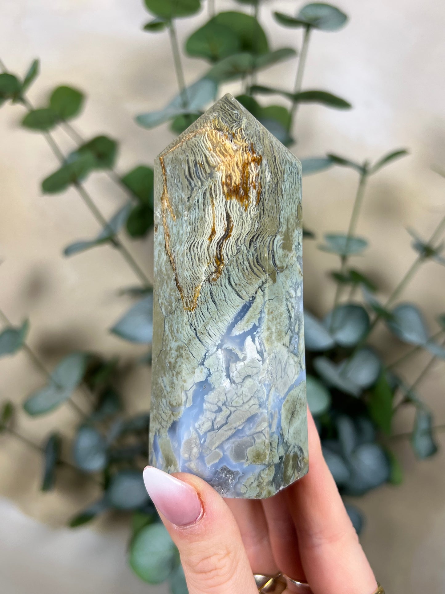 Ibis Jasper Tower (33EX)