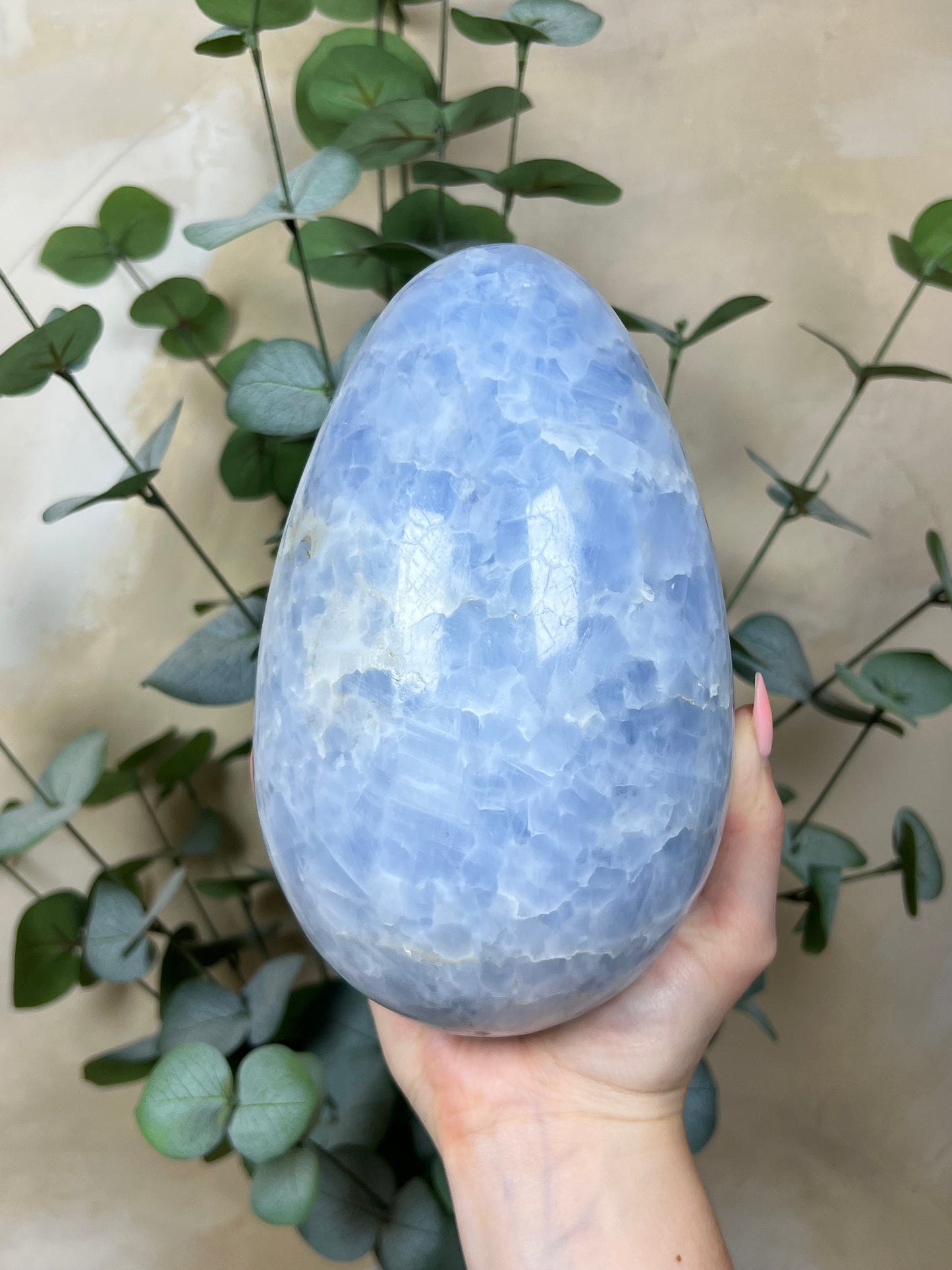 Blue Calcite Egg XL (177AA)