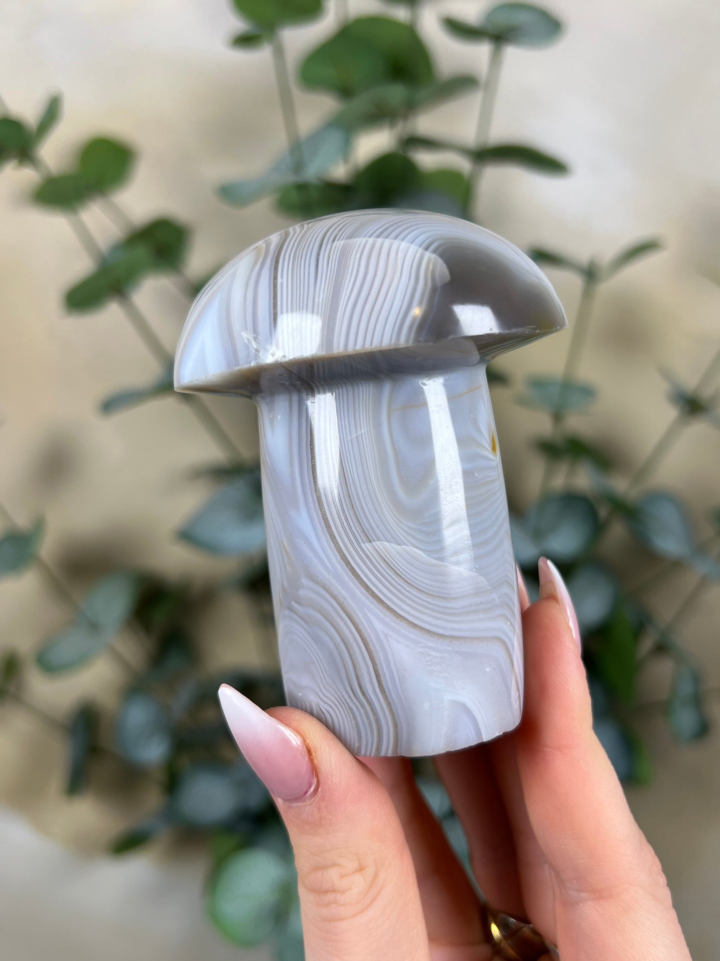 Agate Mushroom (26FW)
