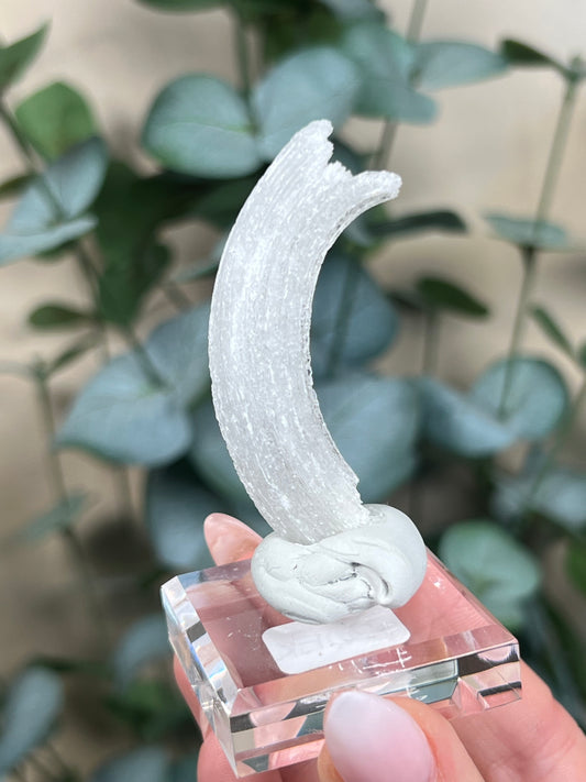Horn Selenite (20EK)