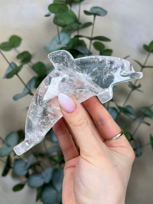 Quartz Dolphin (97EB)